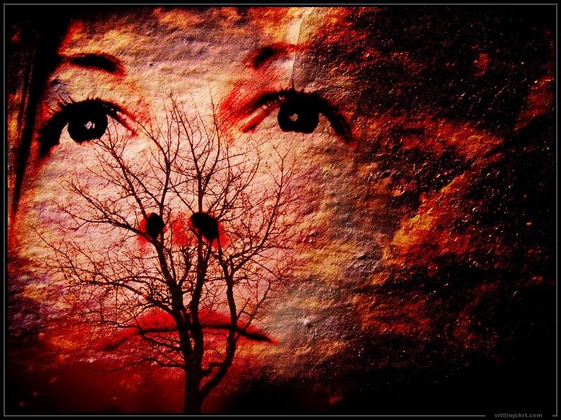 face with tree silhouette