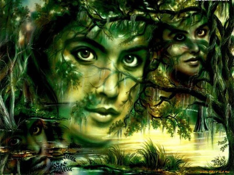 Faces in Forest