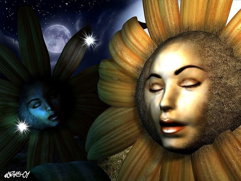 Faces in Sunflowers