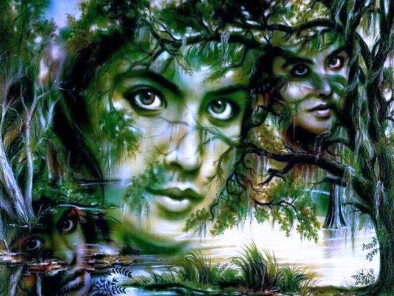 Faces in the forest