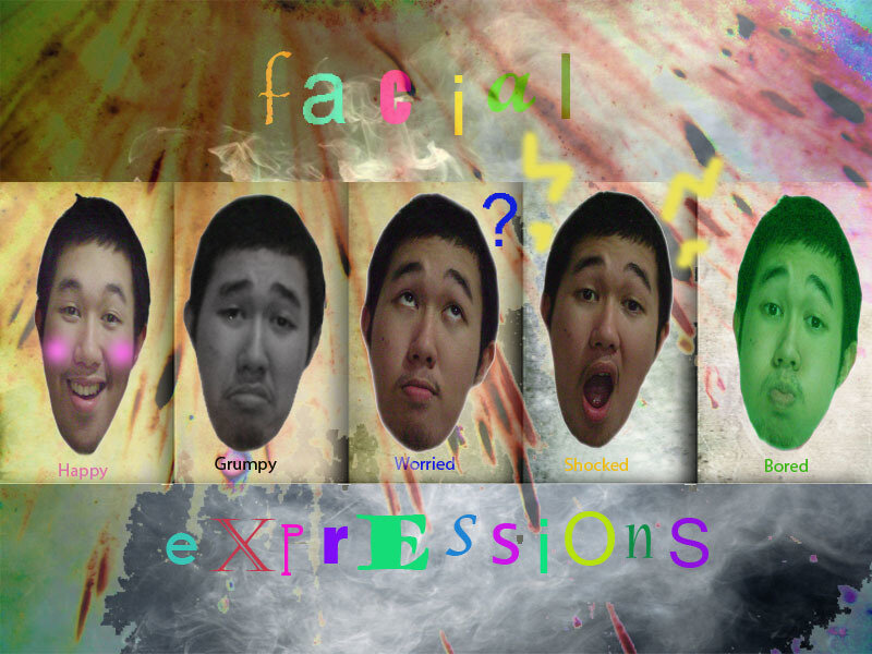 Facial Expressions Chart
