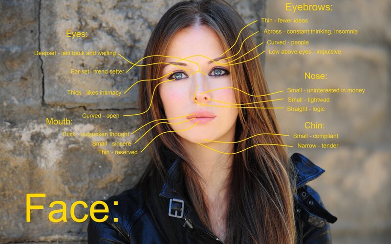 facial features analysis chart