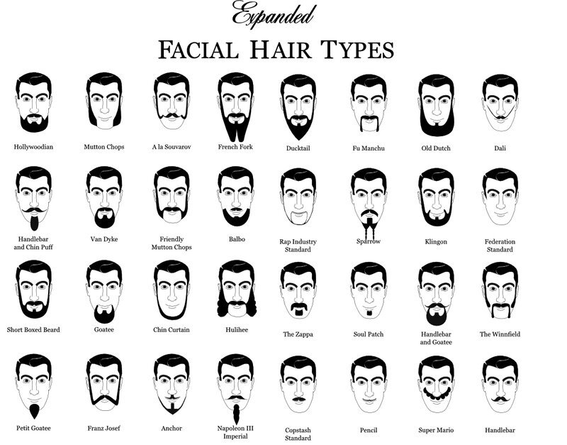 Facial Hair Types Chart