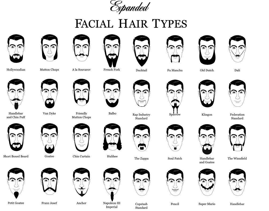 Facial Hair Types Chart