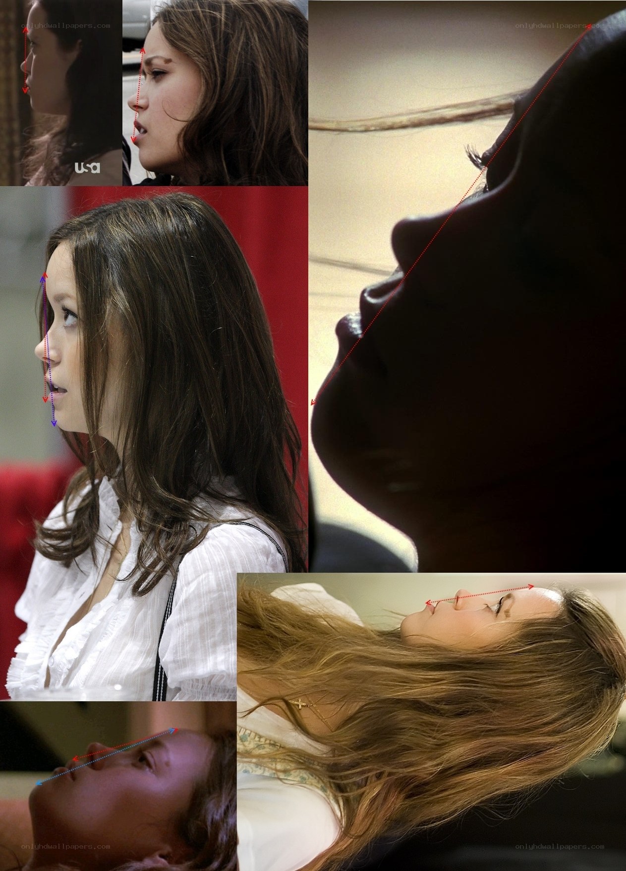 Facial profile analysis collage