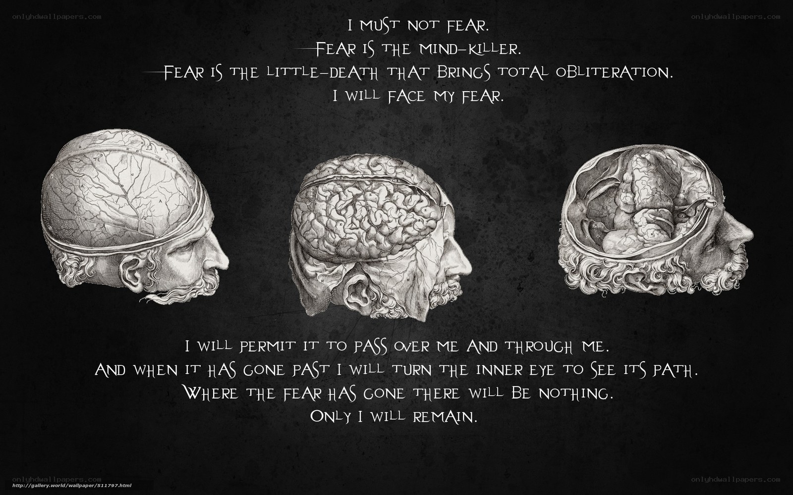 facing fear illustration