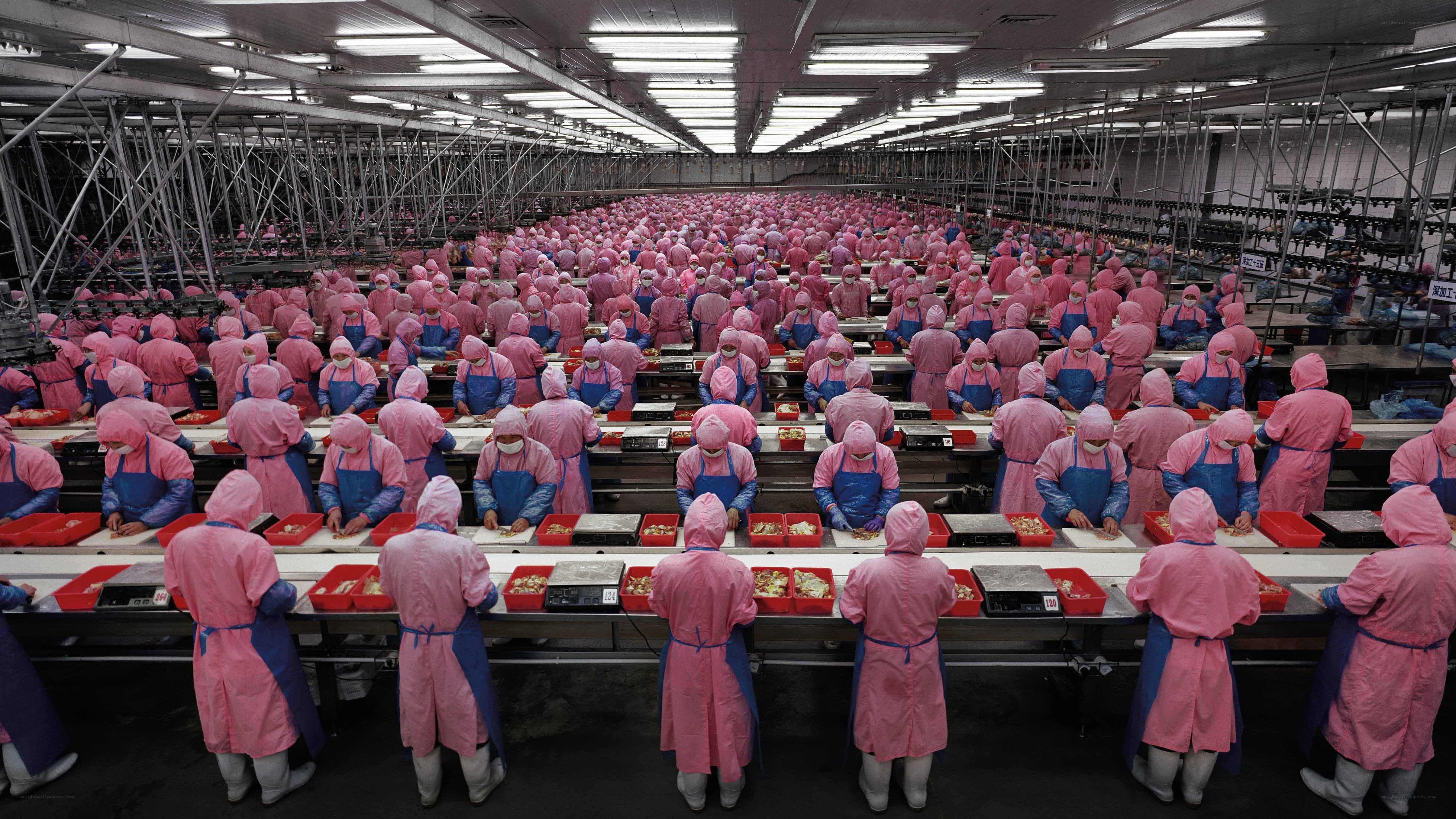 Factory workers in pink uniforms