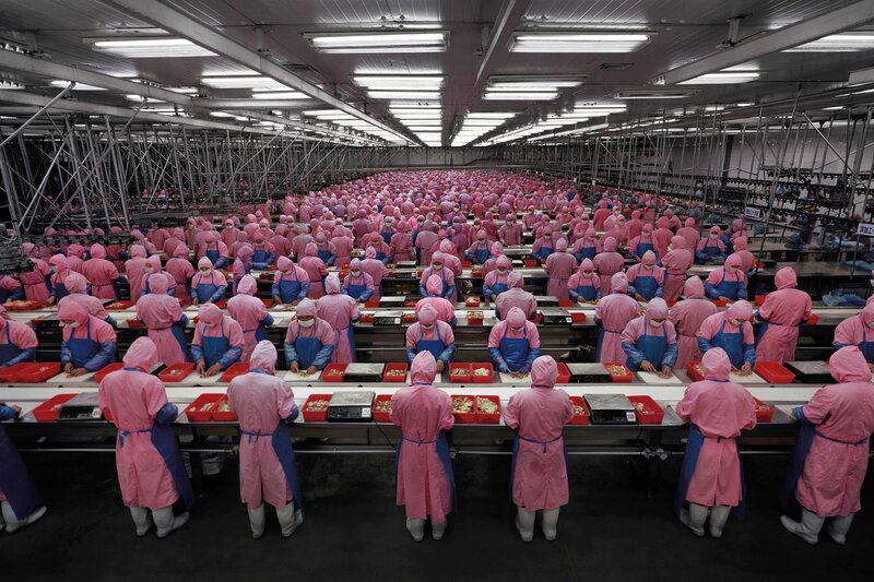Factory workers in pink uniforms