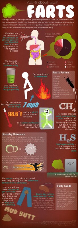 Facts about farts