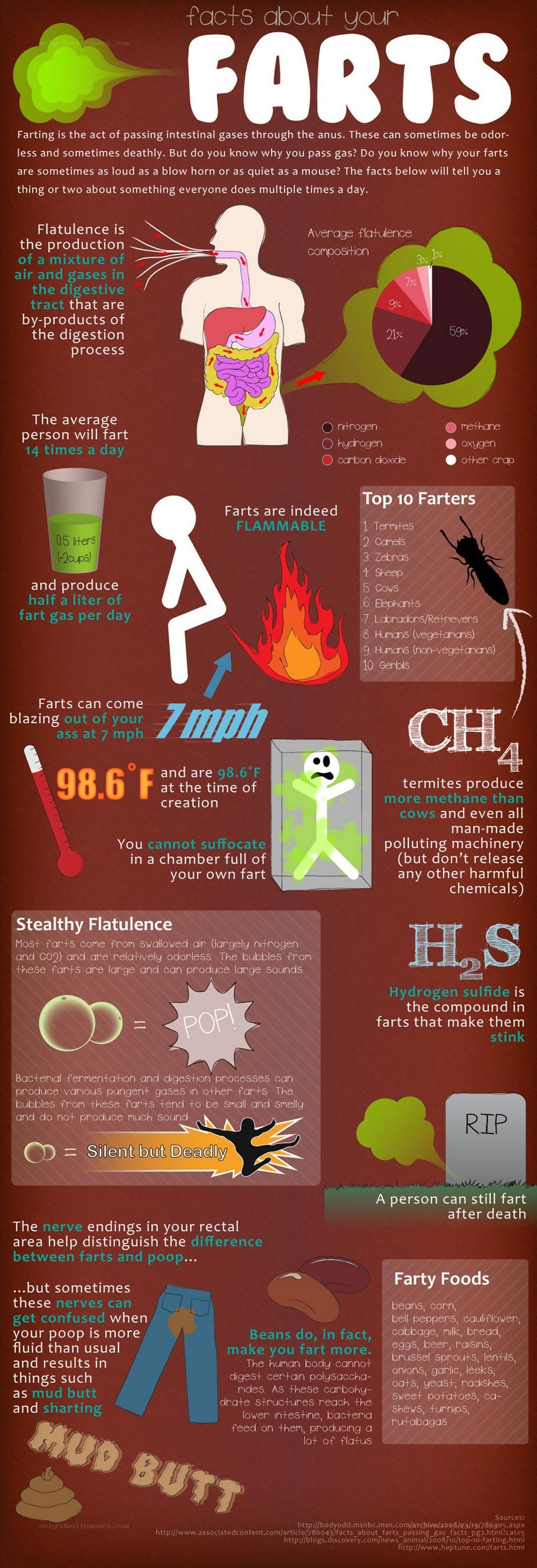 Facts about farts