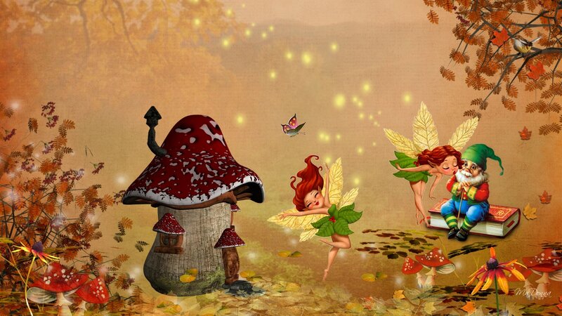 Fairies and Gnome in Forest