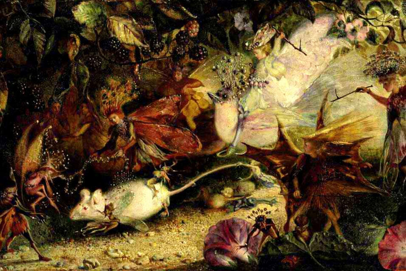 Fairies in a forest scene