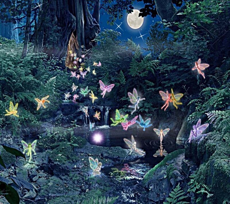 Fairies in a Forest