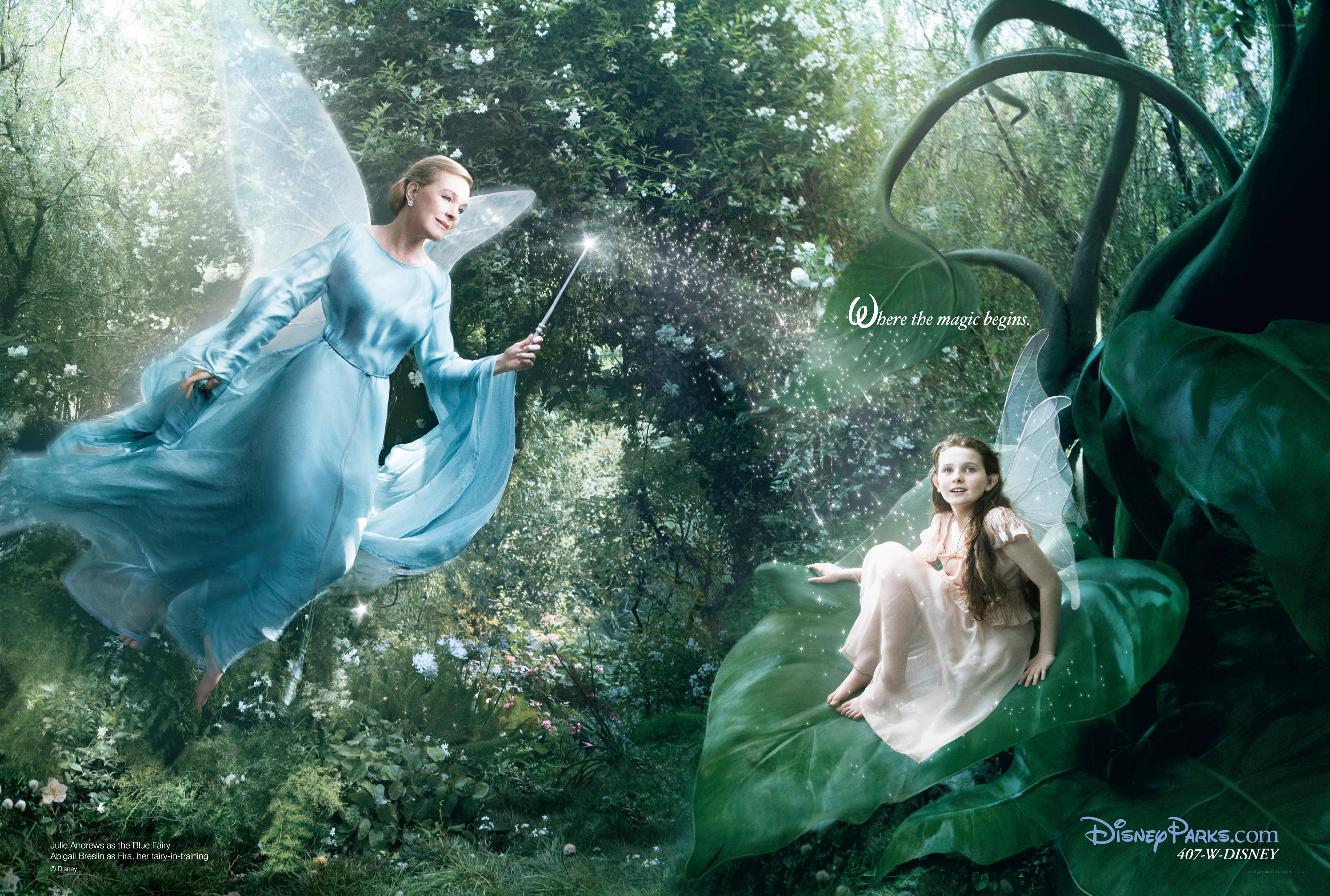 fairies in a magical forest