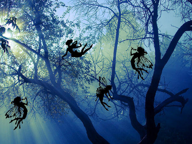 fairies in a misty forest