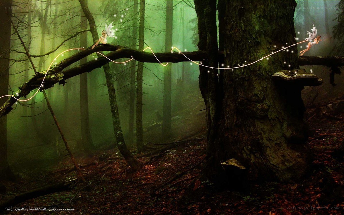 fairies in a misty forest