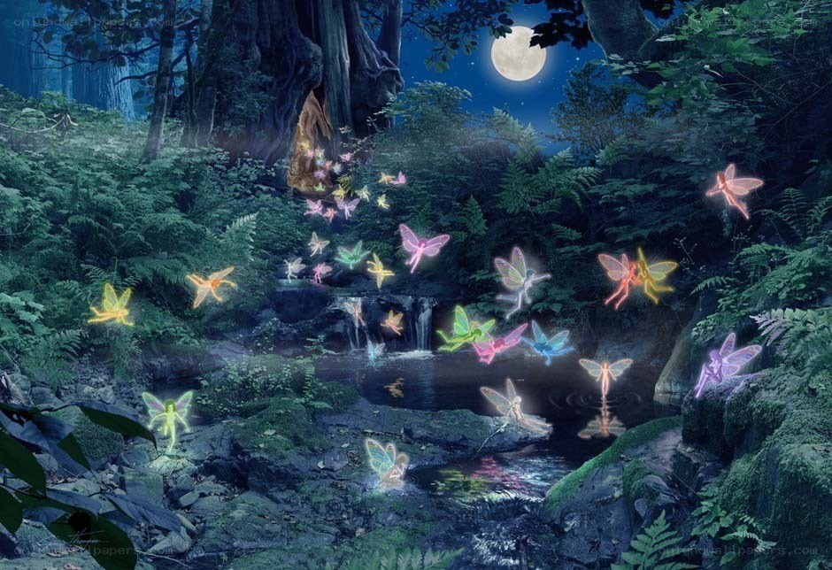 Fairies in a moonlit forest