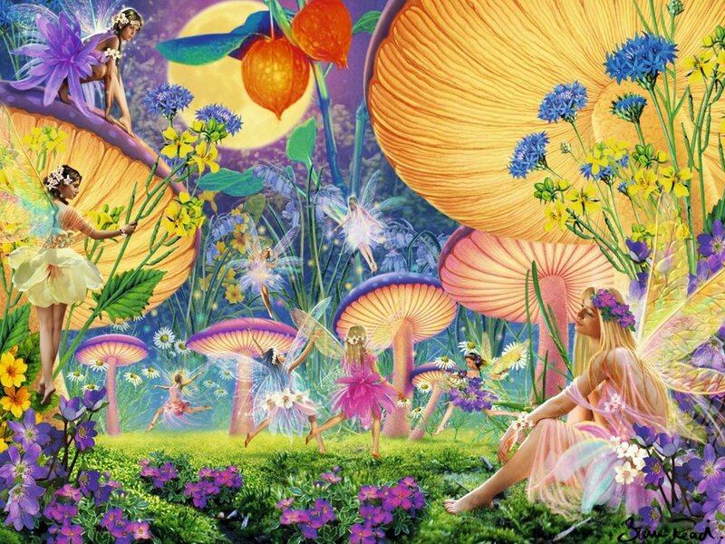 Fairies in a Mushroom Forest — Purple, Whimsical, Night
