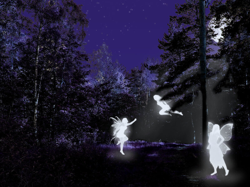 fairies in a purple forest