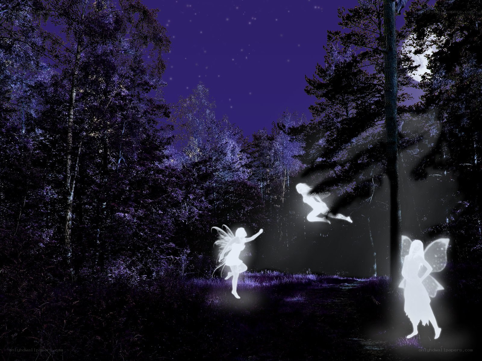 fairies in a purple forest