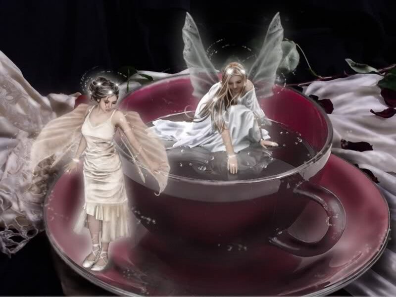 Fairies in a Teacup — Red