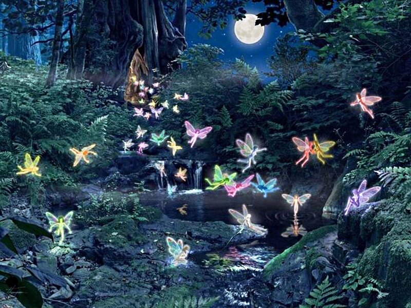 Fairies in Forest — Green, Magical