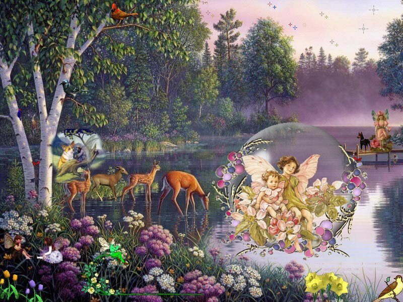 Fairies in Forest Scene
