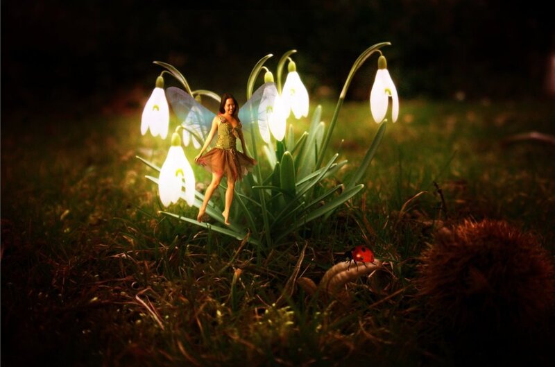 Fairy Among Snowdrops
