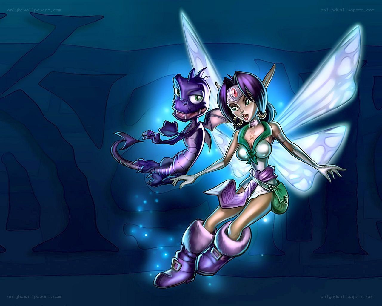 fairy and dragon companion