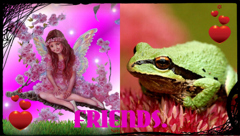 Fairy and Frog