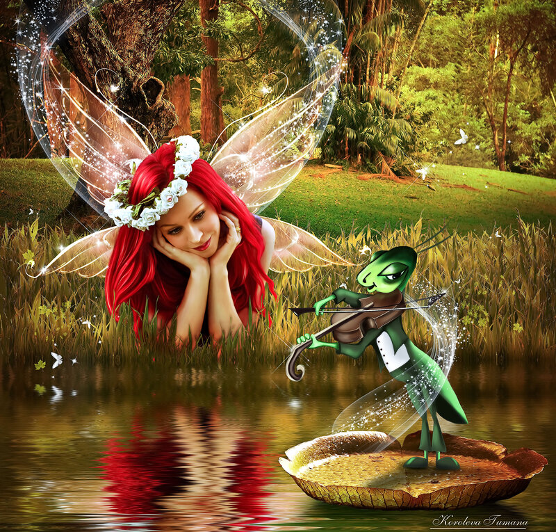Fairy and Grasshopper