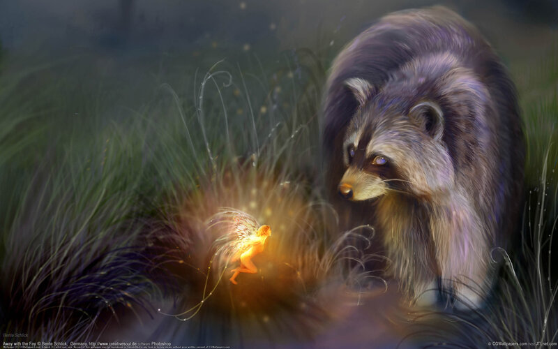 Fairy and raccoon in grass