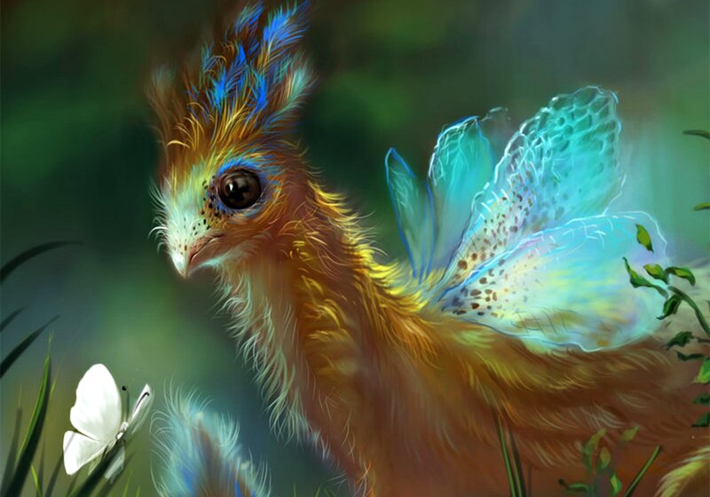Fairy Bird with Wings