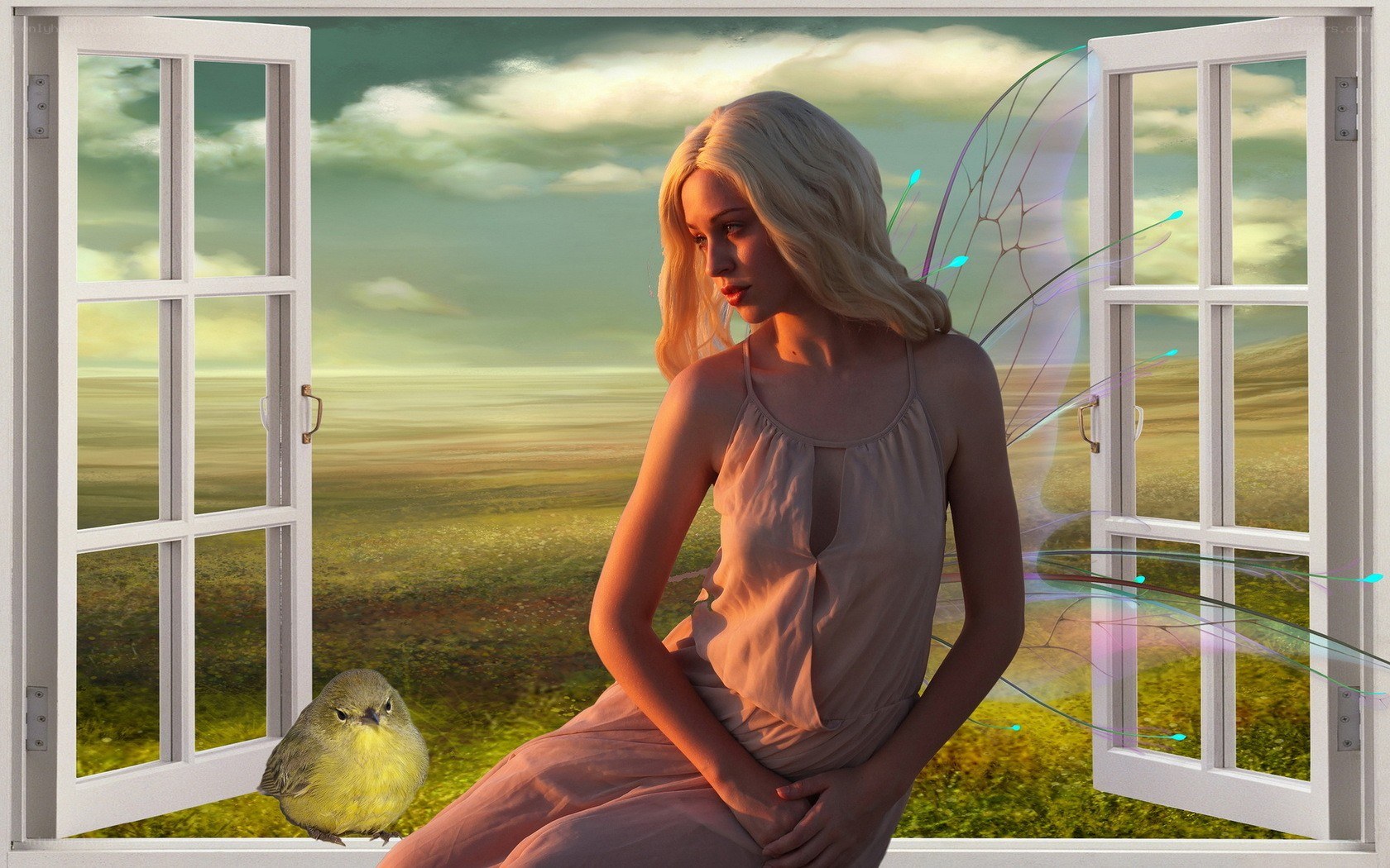 fairy by the window