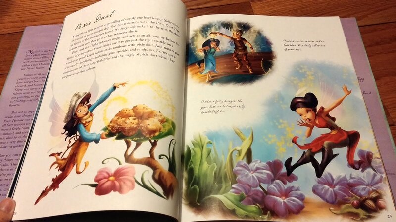 Fairy Characters in Book