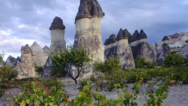 Fairy Chimneys in Cappadocia — Gray