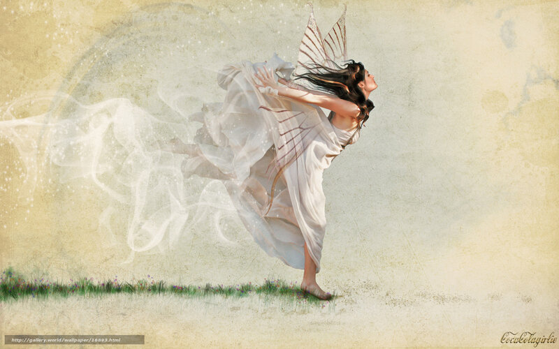 fairy dancing in a field