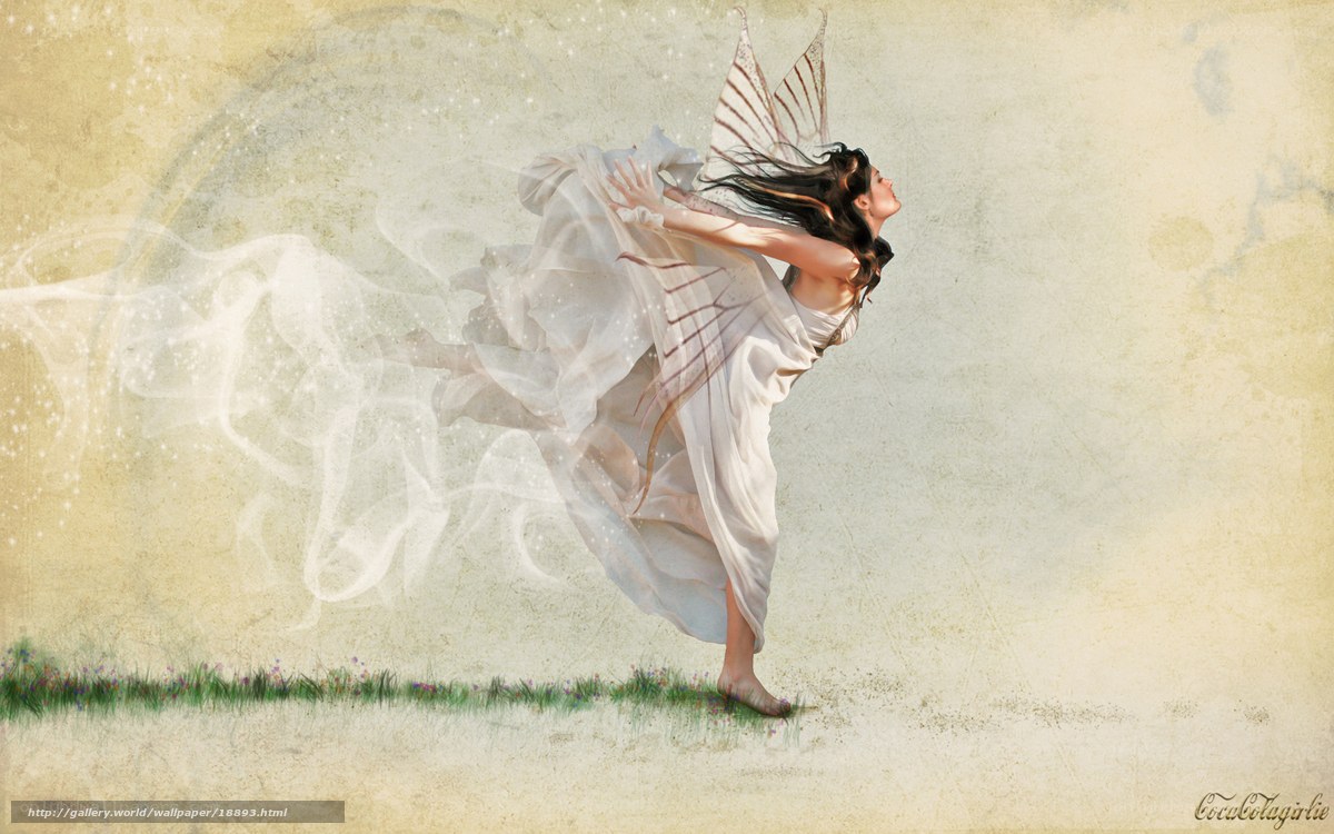 fairy dancing in a field