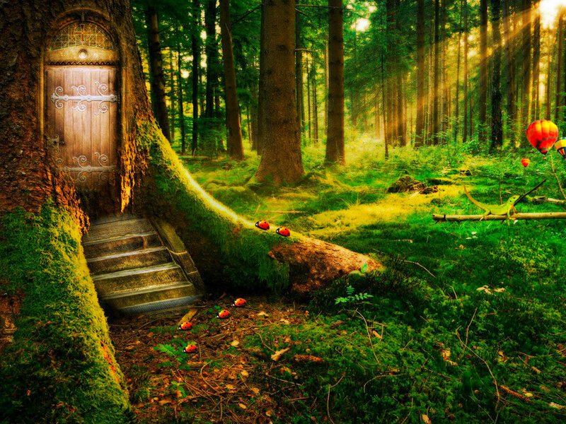 Fairy Door in Forest — Green