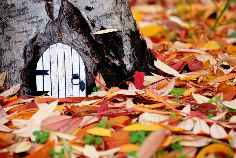 Fairy Door in Tree