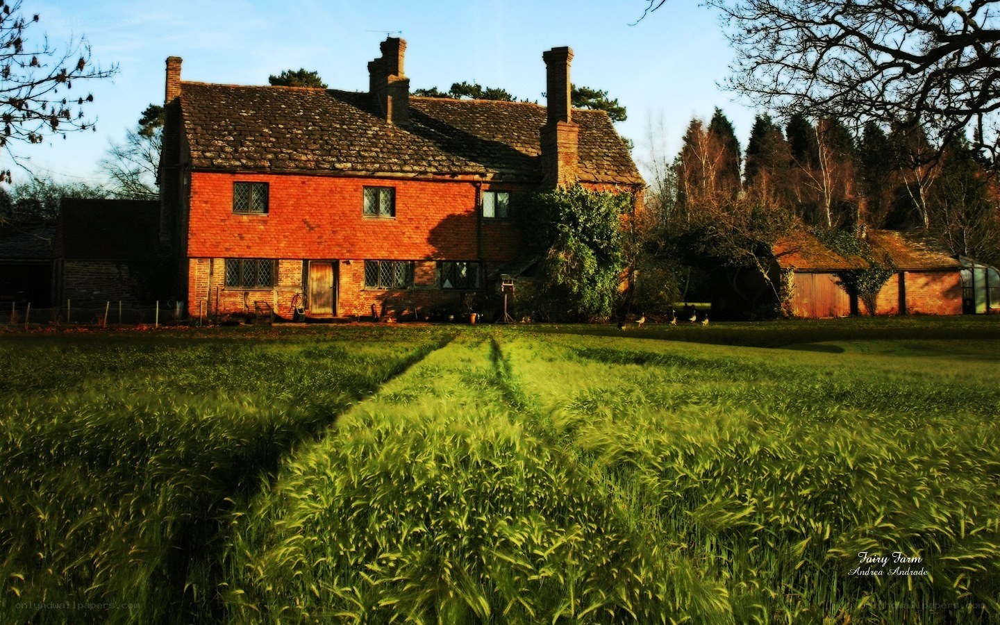 Fairy Farm at sunset