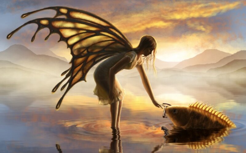 Fairy Feeding Fish — Gold