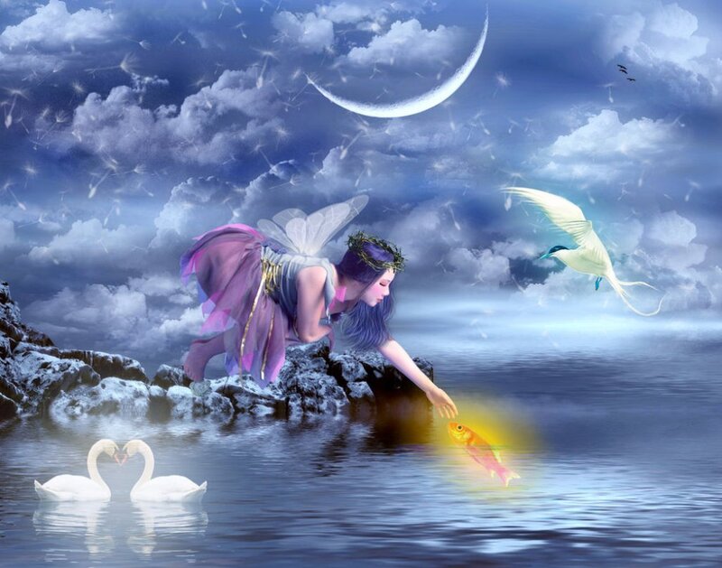 Fairy Feeding Fish