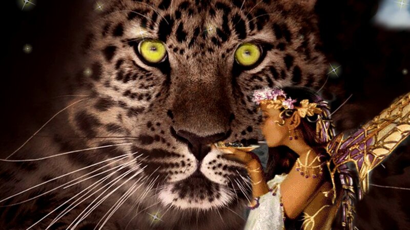 Fairy Feeding Leopard