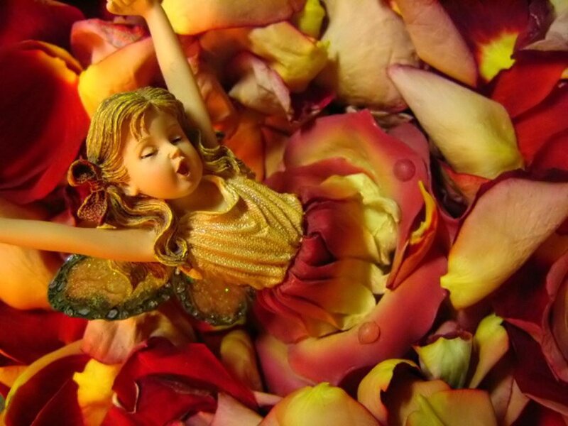 fairy figurine among rose petals