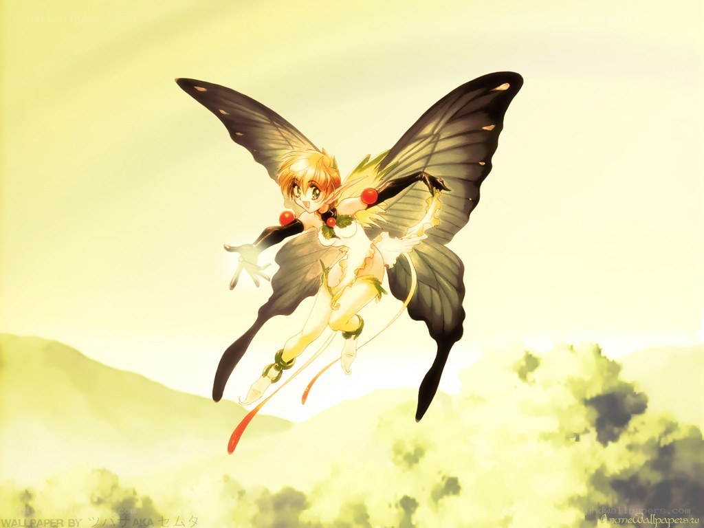 fairy flying in golden light