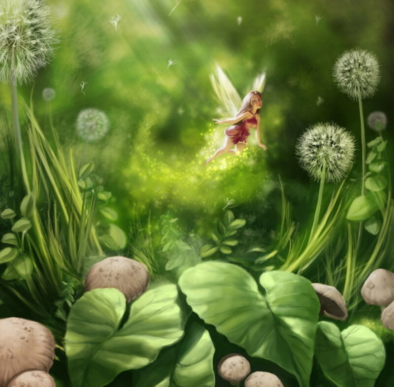 Fairy Flying in Meadow
