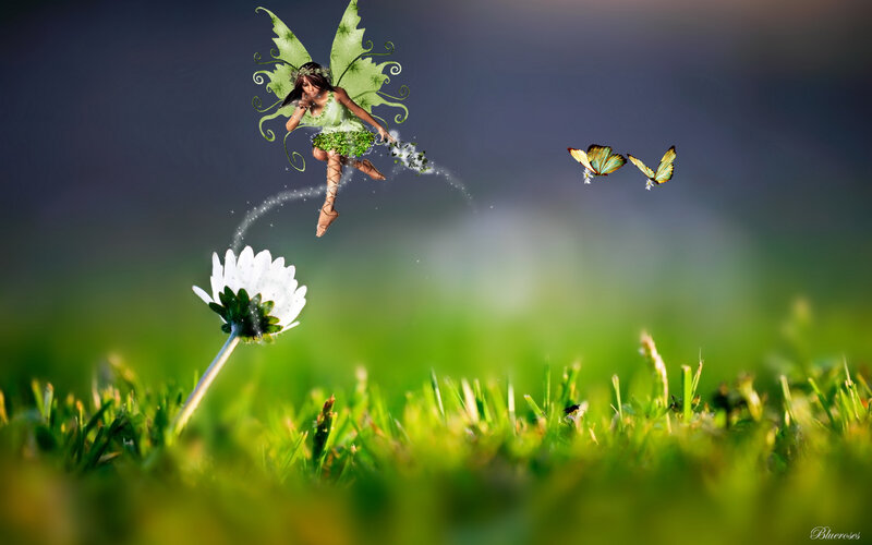 Fairy Flying over Flower