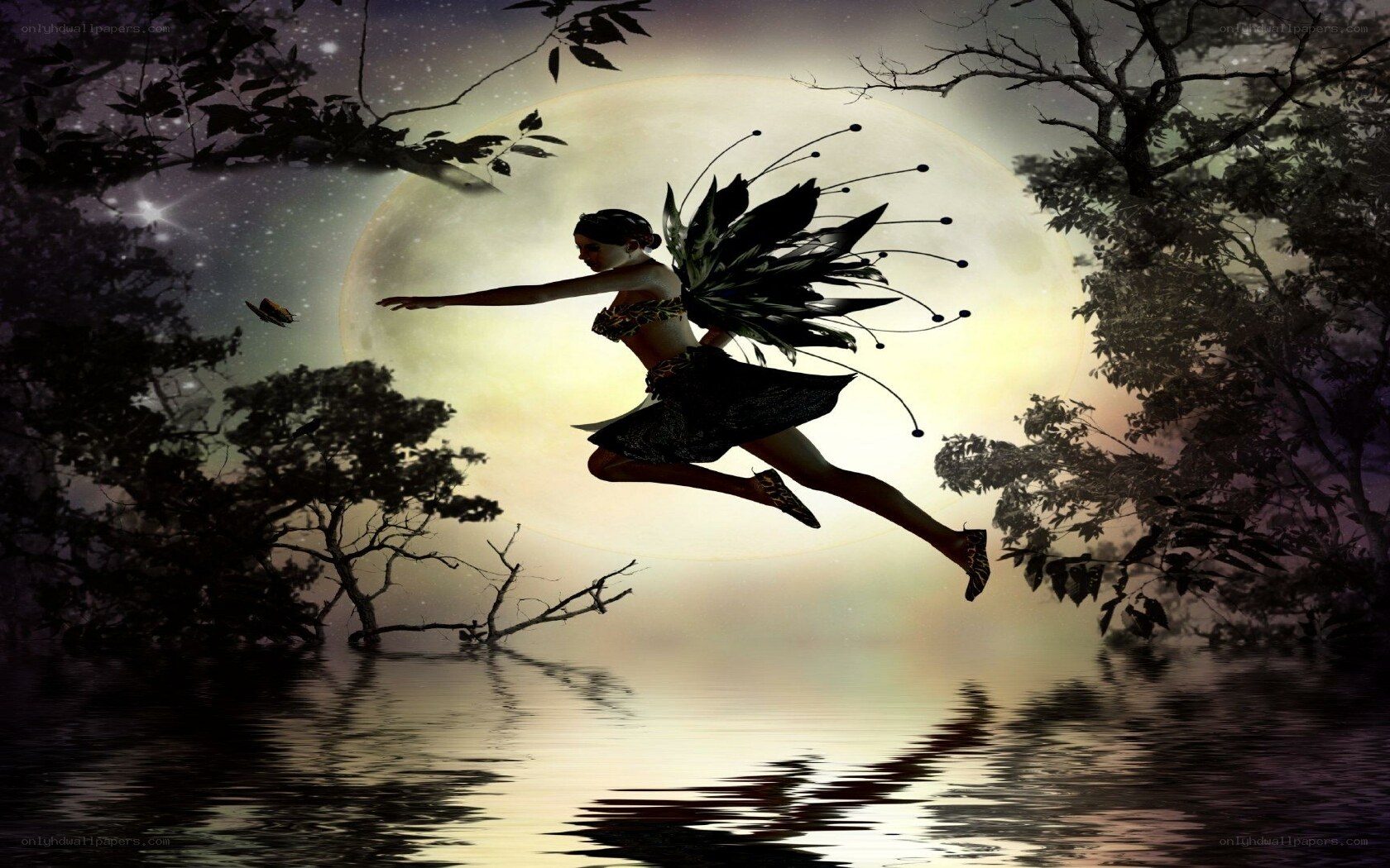 fairy flying over moonlit lake