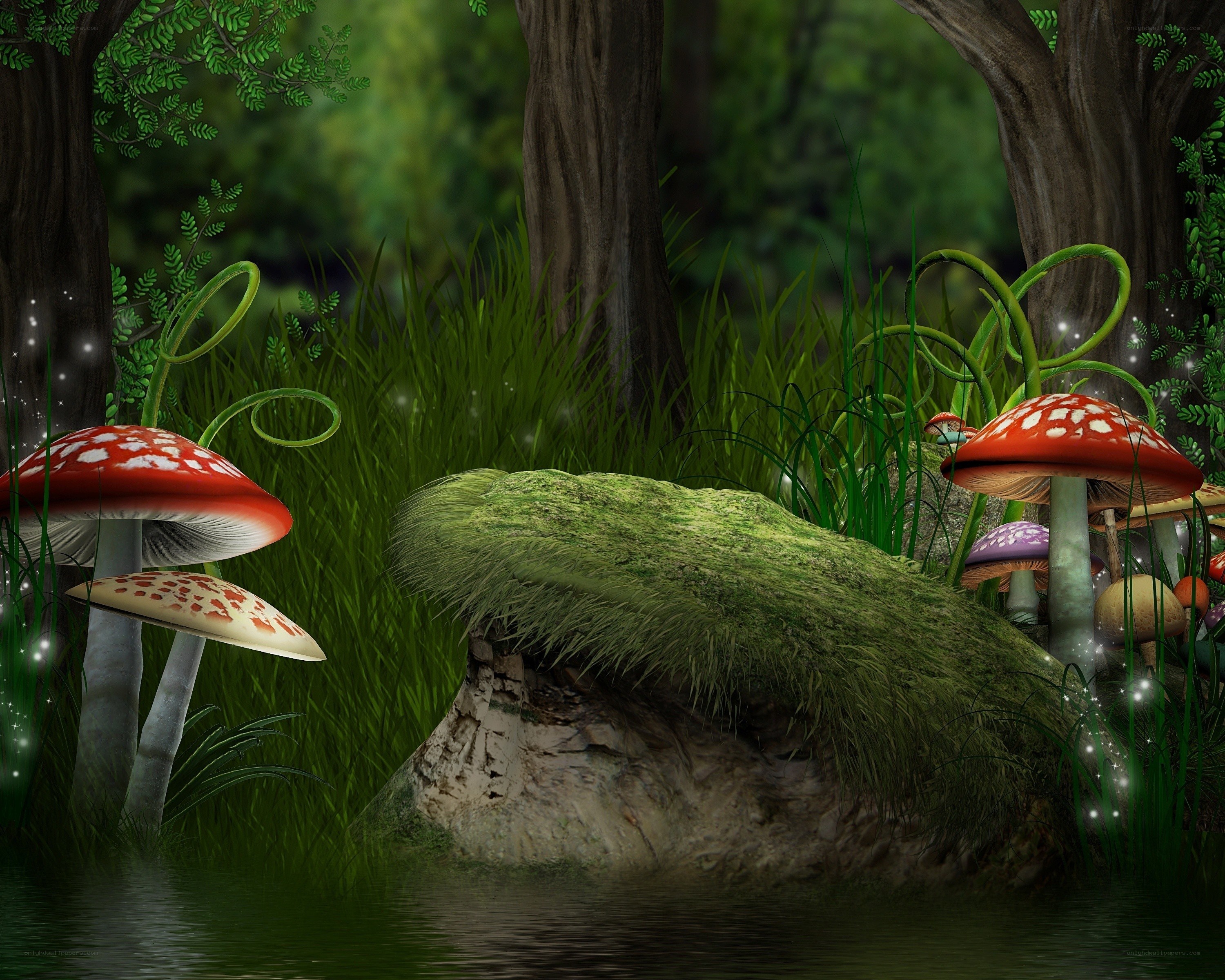 Fairy forest with mushrooms